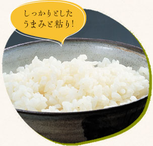 しっかりとしたうまみと粘り