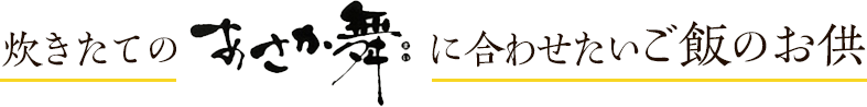 炊きたてのあさか舞に合わせたいご飯のお供