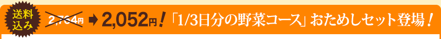 送料込み2,052円！「1/3日分の野菜コース」おためしセット登場