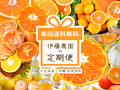 【送料無料】お手軽に毎月、旬の柑橘が届くフルーツ定期便♪(伊藤農園)