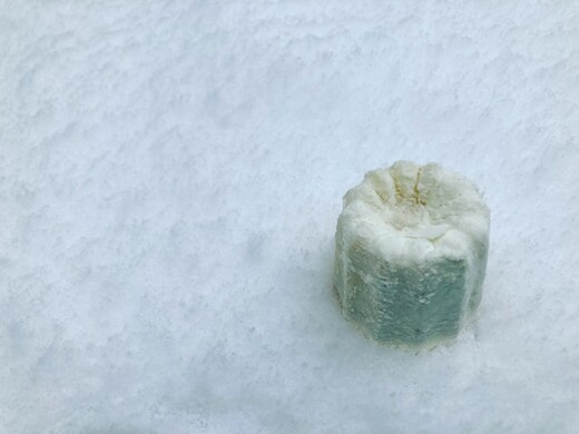 北海道白い牛乳カヌレ4個セット