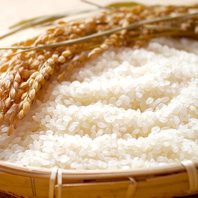 ホワイトライス 無洗米 10kg