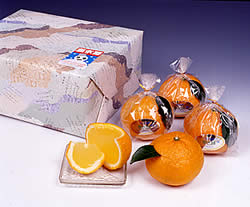 柑乃雫 M玉5個入り