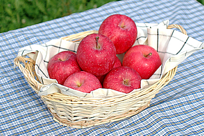 りんごお試しセット