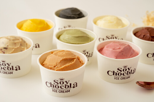 選べるアイスクリーム8個セット