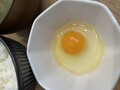 おすすめの卵かけご飯