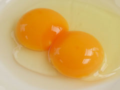二黄卵 幻の卵】黄身が2つの「二黄卵」が岐阜大学で買える!? 目玉焼きを