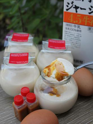 欧風創作菓子メゾン ド キタガワ 販売終了 阿蘇ジャージーきゃらめるプリン 6個入 へのおすすめレビュー お取り寄せの達人 平岩理緒さん おとりよせネット 通販グルメ スイーツ ギフト 口コミ ランキング