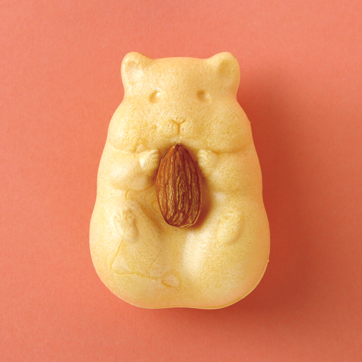 こころなごむ故郷の銘菓 青木光悦堂「ハムスターモナカ（6個