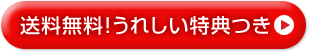 IꂵT