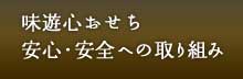 VS SESւ̎g