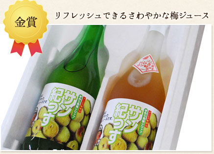リフレッシュできるさわやかな梅ジュース　青梅シロップ サン紀っす 2本詰め合わせ