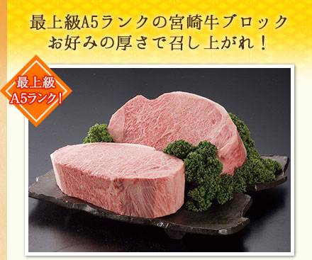 宮崎牛サーロインブロック（都城産）