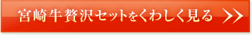 宮崎牛贅沢セットをくわしく見る