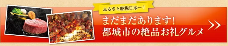 まだまだあります！都城市の絶品お礼グルメ