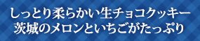 しっとり柔らかい生チョコクッキー茨城のメロンといちごがたっぷり