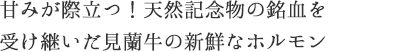 甘みが際立つ！天然記念物の銘血を受け継いだ見蘭牛の新鮮なホルモン