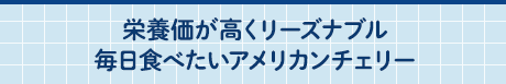 栄養価が高くリーズナブル毎日食べたいアメリカンチェリー