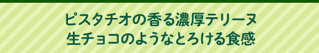 ピスタチオの香る濃厚テリーヌ生チョコのようなとろける食感