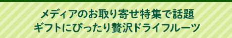 メディアのお取り寄せ特集で話題ギフトにぴったり贅沢ドライフルーツ