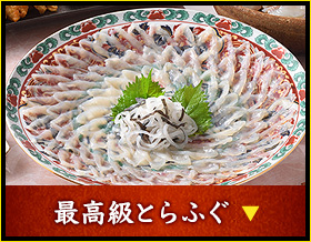 最高級とらふぐ