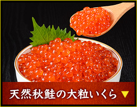 天然秋鮭の大粒いくら