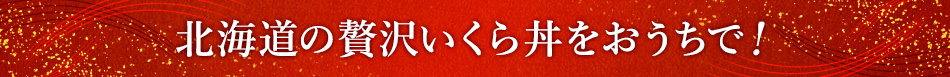 北海道の贅沢いくら丼をおうちで！
