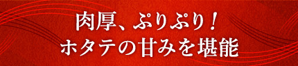 肉厚、ぷりぷり！ホタテの甘みを堪能