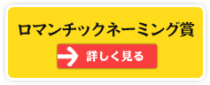 ロマンチックネーミング賞