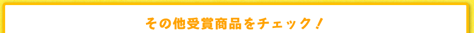 その他の受賞商品をチェック