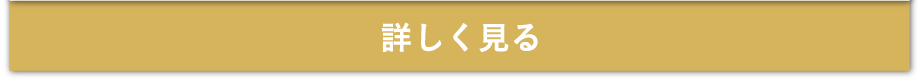 商品を詳しく見る