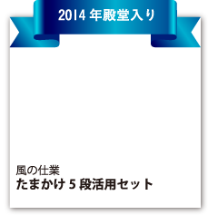 風の仕業『たまかけ5段活用セット』