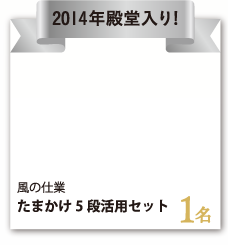 風の仕業『たまかけ5段活用セット』