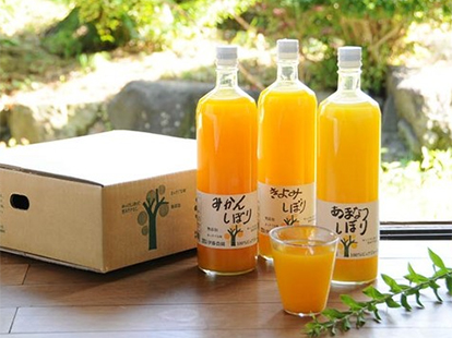 手しぼり100％ピュアジュース 900ml×3（紙箱入り）/伊藤農園