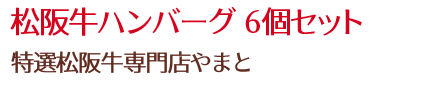 松阪牛ハンバーグ6個セット/特選松阪牛専門店やまと