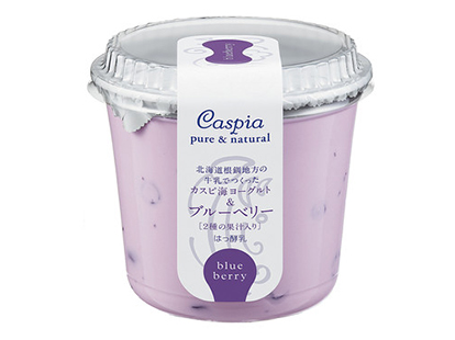 カスピ海ヨーグルト ブルーベリー ギフトセット (400g 4個入)