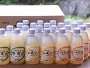 素朴ドリンク 200ml×24本 / 伊藤農園