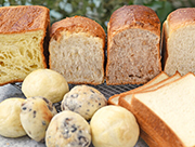 食パン5種とテーブルロール2種食べ比べセット / マンマーノ