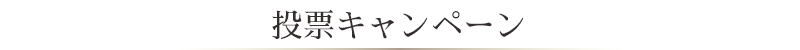 投票キャンペーン