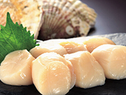 【三陸逸品】三陸産鮮冷ほたて貝柱（CAS凍結）500g（15ー18粒入り） / 女川さかな手帖