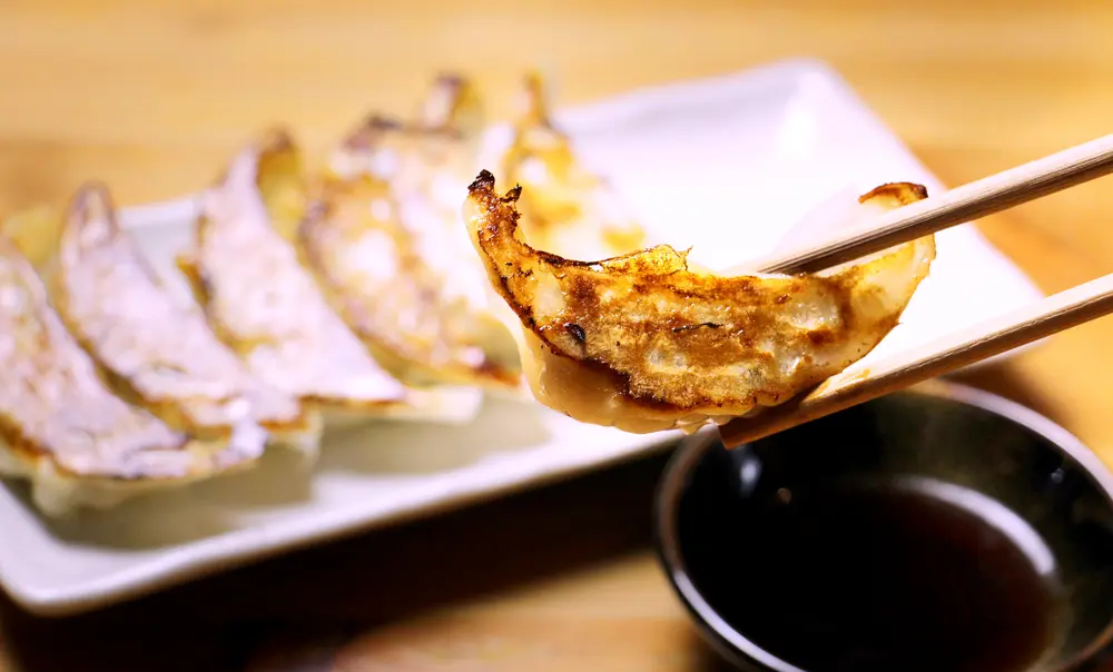 「長州どり」鶏×豚の肉汁たっぷりジューシー餃子 36個のサブ画像