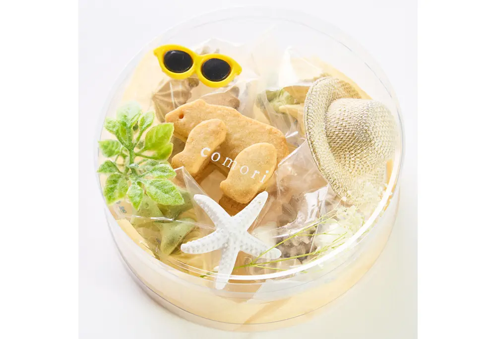 こぐまのパーティーボックス（summer）のサブ画像