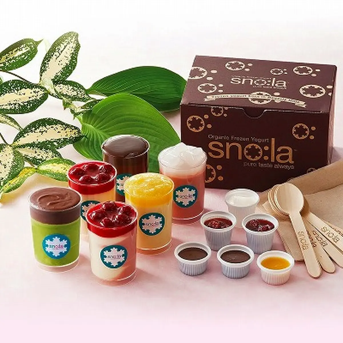 【100％有機生乳】フローズンヨーグルト・ミディアムサイズ6本入りセットの画像