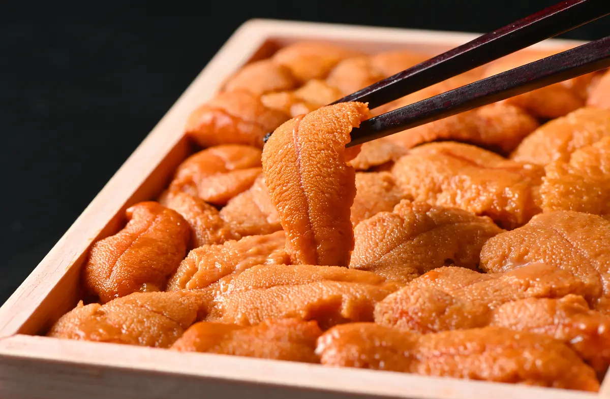 北海道 礼文・利尻島産「折詰エゾバフンウニ」木箱入り 90gの画像