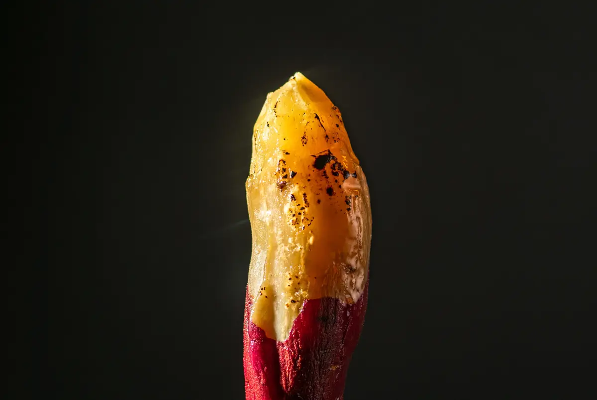 薪焼き密芋（まきやきみついも）1kgセットの画像