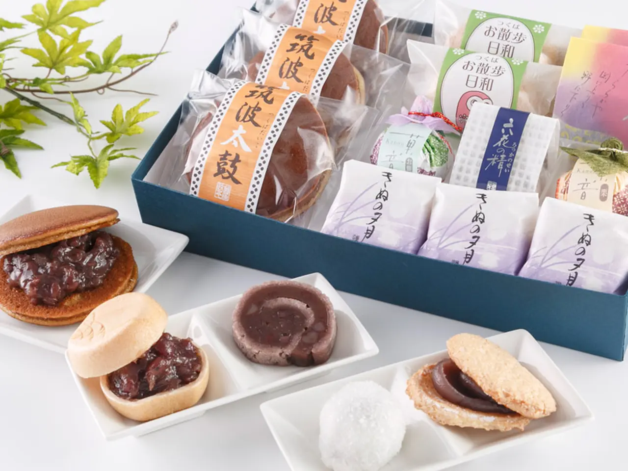 夏生地，夏合皮詰め合わせ 