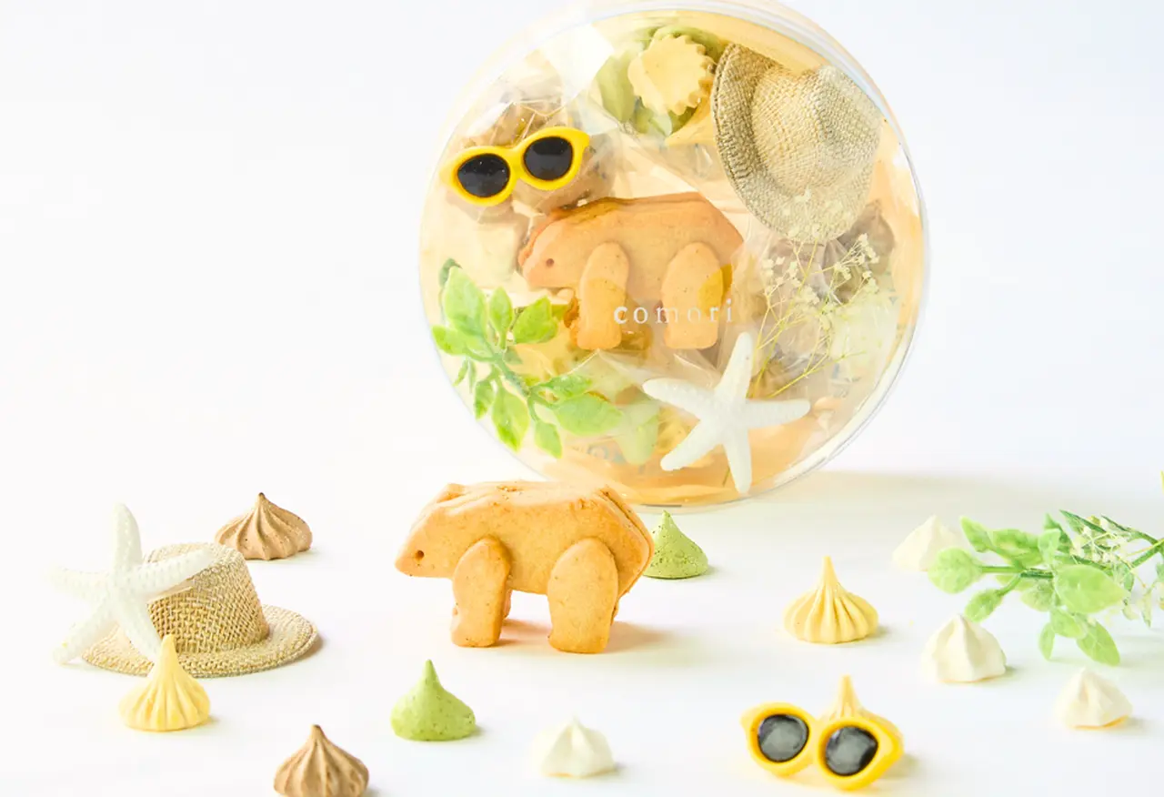 こぐまのパーティーボックス（summer）の画像