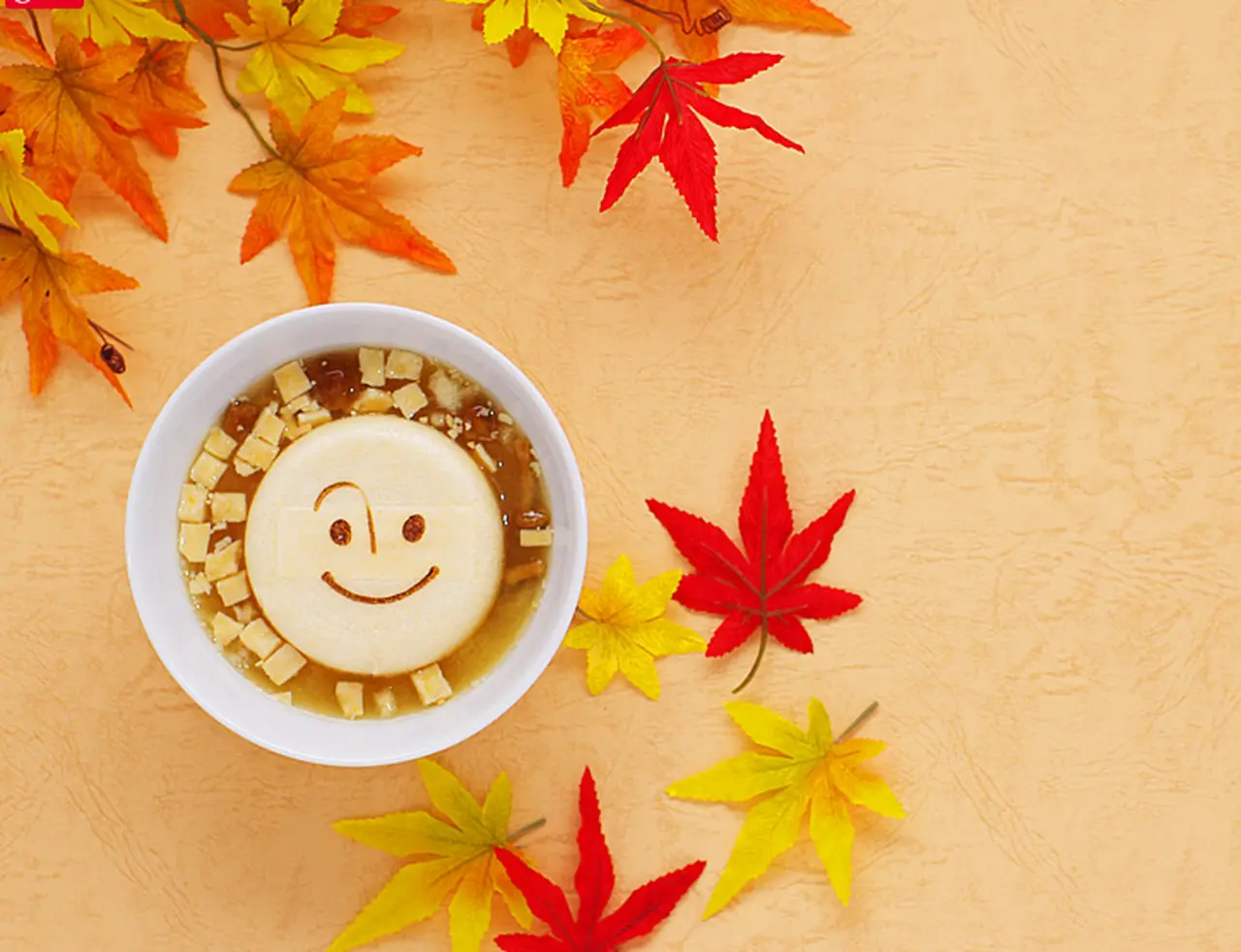 美噌元 敬老の日ギフト　9個箱の画像