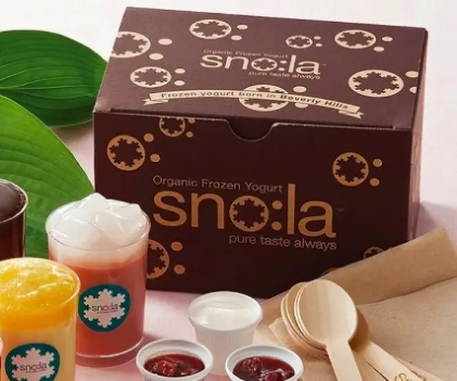 【100％有機生乳】フローズンヨーグルト・ミディアムサイズ6本入りセットのサブ画像