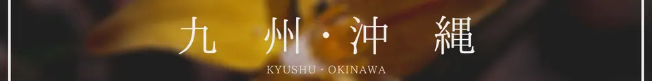 地域別　九州・沖縄グルメ＆スイーツ